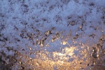 La douceur de l'hiver
Photographies d'art
Neige, glace, gouttes de rosée
ambiance hivernale
