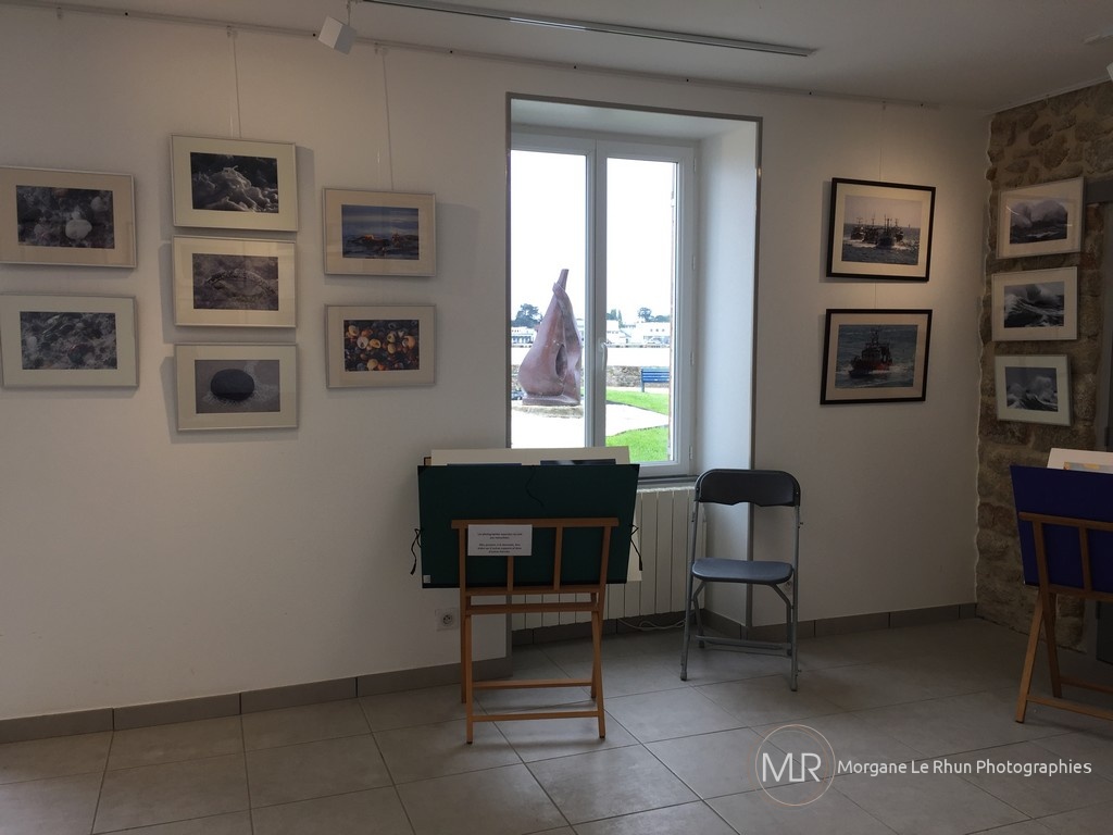 Exposition du 16 au 22 mai 2019 à la Maison de la Pointe à l'ile Tudy